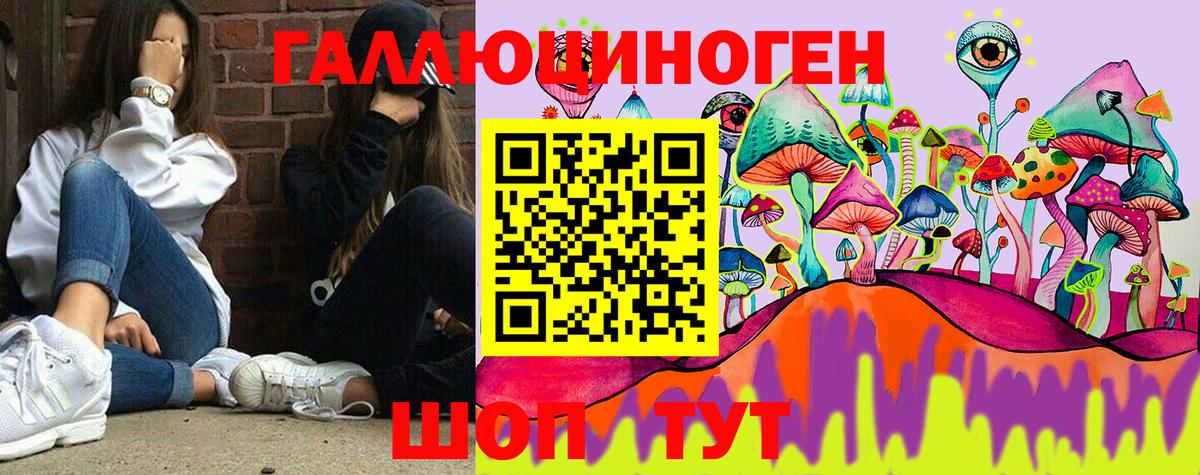Ростов-на-Дону  Псилоцибиновые грибы GOLDEN TEACHER  магазин продажи   Вход с VPN 