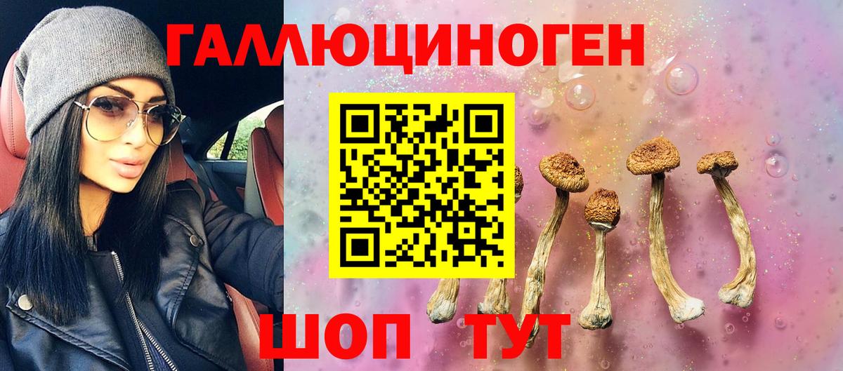 Псилоцибиновые грибы мухоморы Ростов-на-Дону